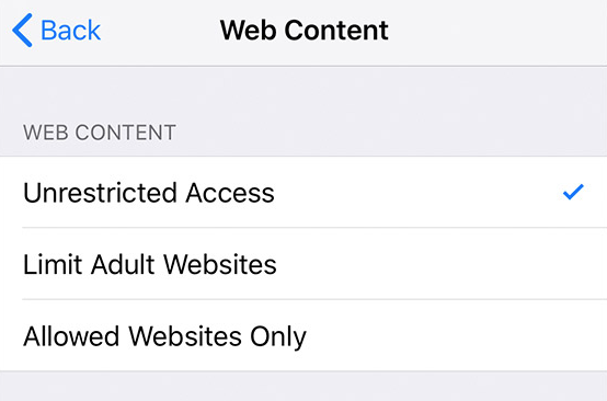 Screenshot showing Limit Adult Websites is unchecked