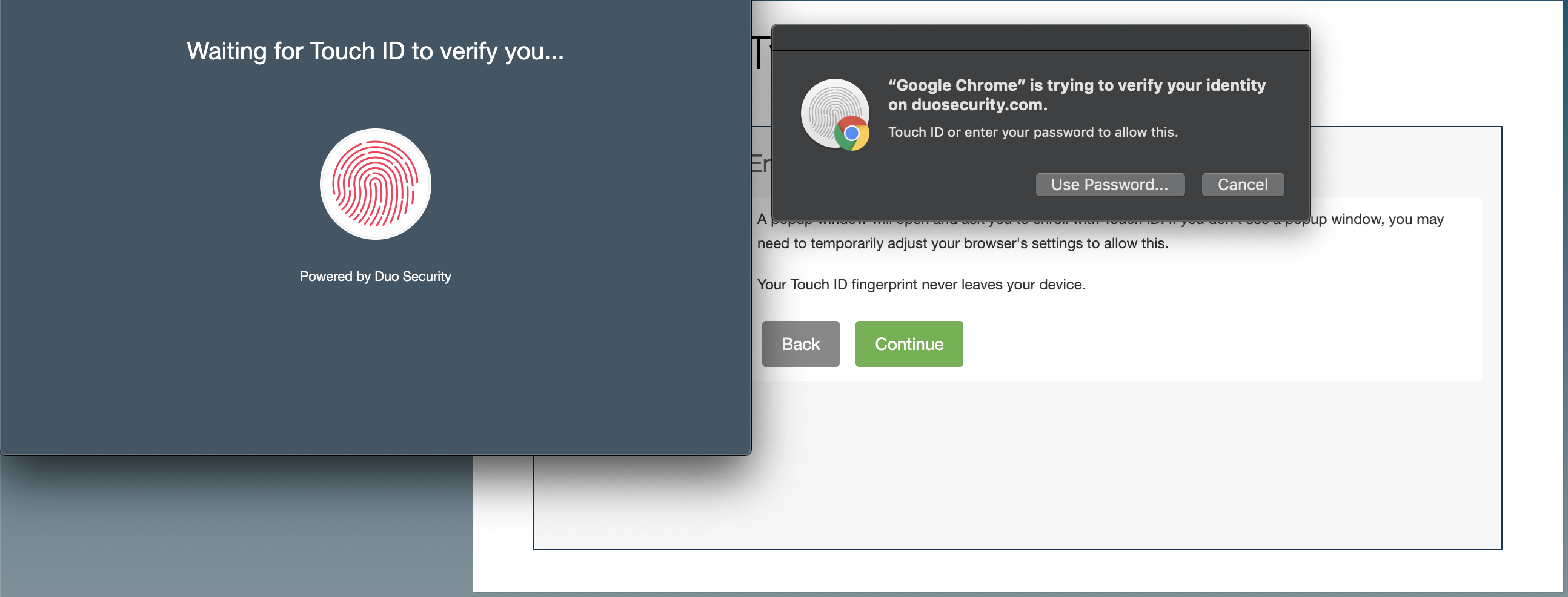 How do I resolve the error 