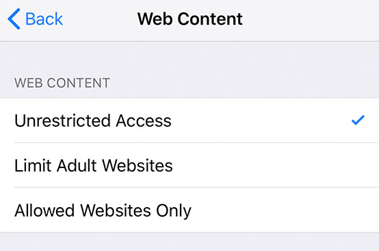 Screenshot showing  Limit Adult Websites is unchecked